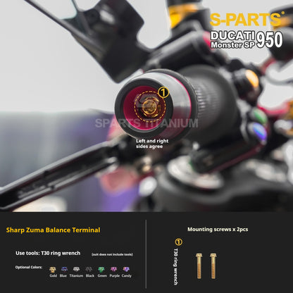 SPARTS Titanium Bolt Kit for Ducati New Monster SP 950 – CNC Titanium Upgrade Kit